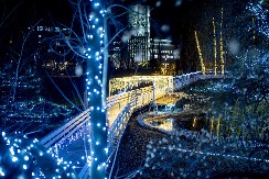 Gde proslaviti Novu 2025. godinu u Srbiji?