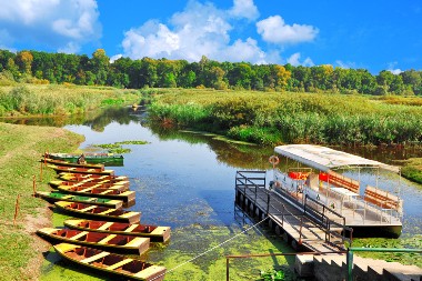 PROČITAJTE ZAŠTO JE VAŽNO Stiglo krdo divljih rečnih bivola u ovaj deo Srbije