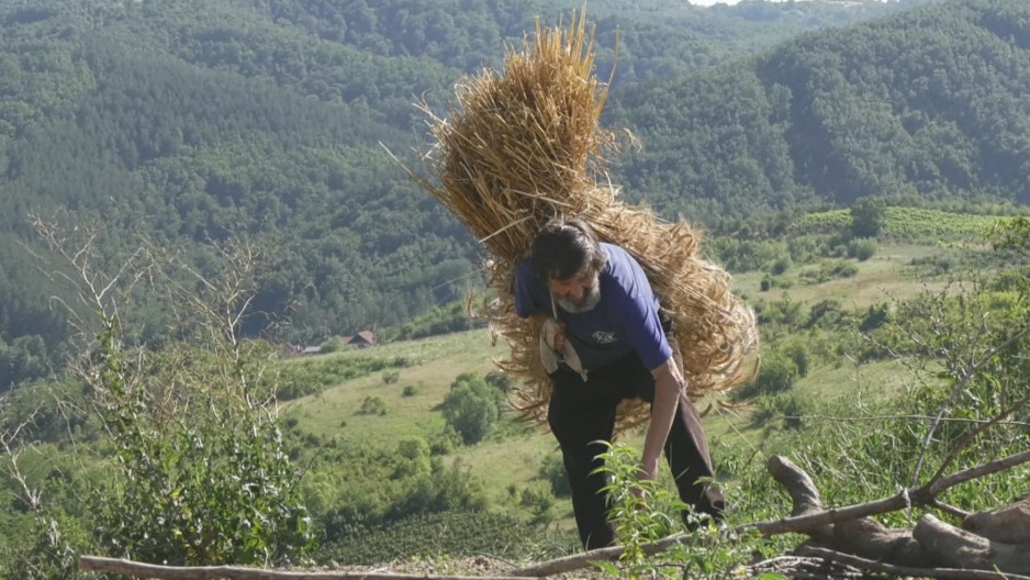 PRAVI UMETNIČKA DELA OD RAŽANE SLAME Duže od pola veka Sava skuplja slamu i secka je kako bi stvarao magiju (FOTO)