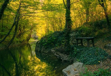 U OVIM MESTIMA U SRBIJI MOŽETE LETOVATI DŽABE: Svi poludeli za njima, pa pohrlili, ali to nije jedini razlog!