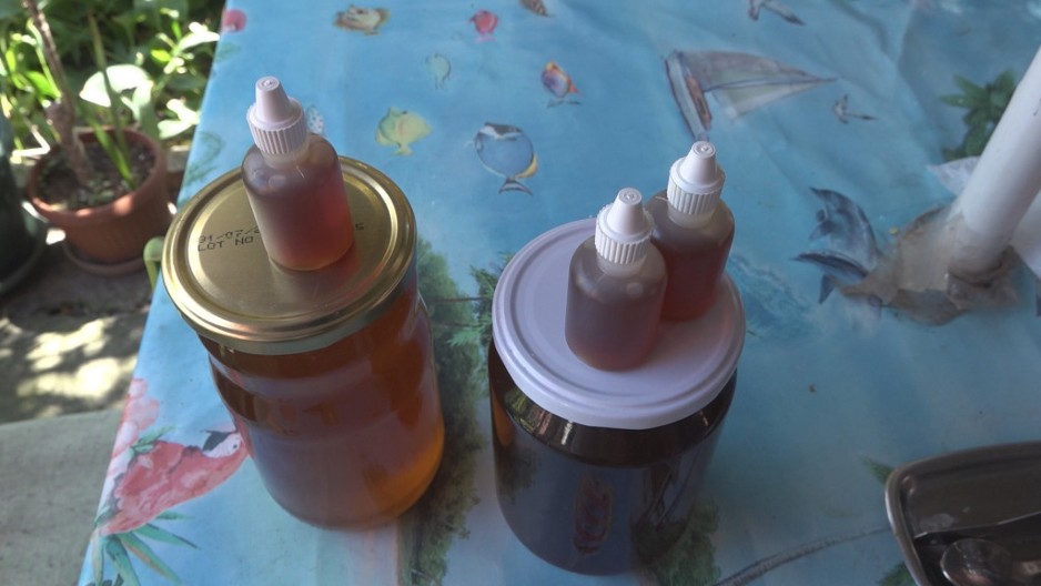 EVO OD ČEGA MARINA PRAVI LEK Pčelnji otrov u melemu jako redak ali efikasan, za njim vlada najveća potražnja