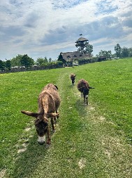 Top destinacije za beg iz grada – od Zasavice do Uvca.