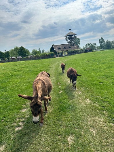Top destinacije za beg iz grada – od Zasavice do Uvca.