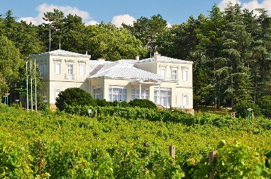 NAJSTARIJA SRPSKA PESMA NASTALA JE U SMEDEREVU: Stigla je čak do Italije, a njeni stihovi kriju GORKE VAPAJE