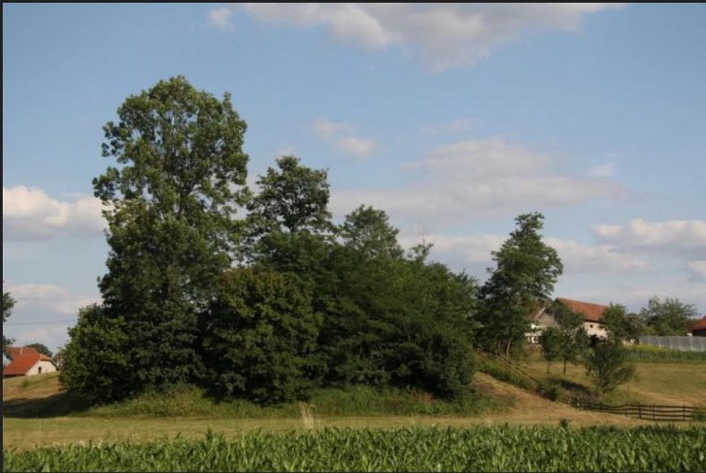 Rimsko groblje nasred livade kod Požege: Arheološka riznica u Visibabi, do sada registrovano 29 spomenika