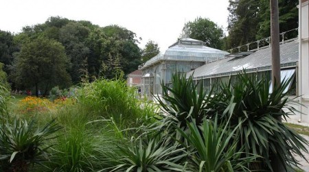 SPOMENIK PRIRODE U SAMOM SRCU BEOGRADA: Lepote Botaničke bašte "Jevremovac" se ne mogu opisati rečima!