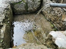 Srpska lekovita oaza sakrivena usred šume: U Rošku banju kod Požege dolazili u kolicima a odlazili na nogama, mineralni izvori i sada teku (FOTO)