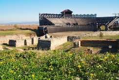 Rimljani u Srbiji: Zaboravljeni grad Viminacijum i njegov mamut