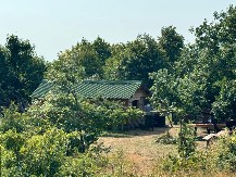 Mistična Srbija: Tura kroz uklete lokacije i legende