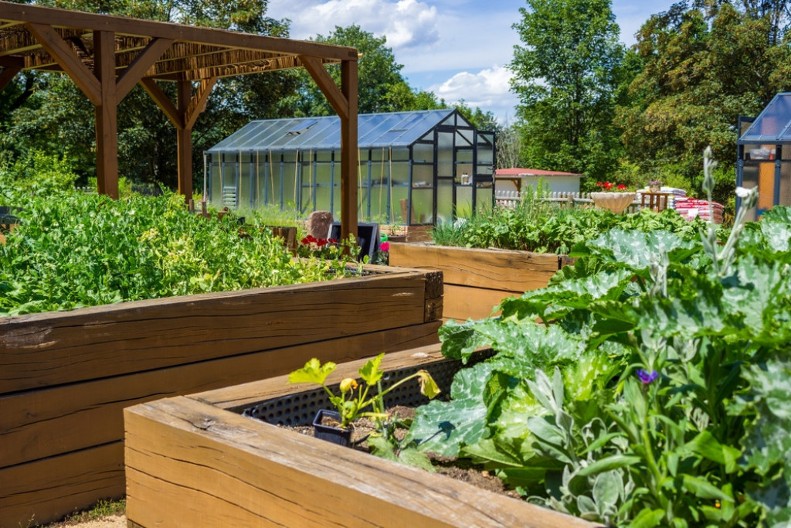 Bašta od 1 kvadrata je najjednostavniji vid baštovanstva koji se baš isplati: Ako imate par metara dvorišta, pokušajte