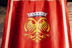 TAJNA SIMBOLIKE GRBOVA STARIH SRPSKIH PLEMENITAŠA – Šta heraldika govori o prošlosti?