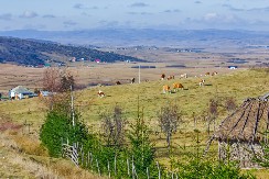 Kameni krugovi na Pešteru – Srpski Stounhendž ili delo prirode?