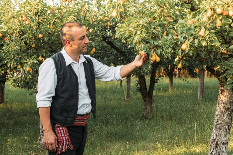 ŠTA ZNAČI "HVATAM ZJALE" Poznata izreka ima DVA značenja