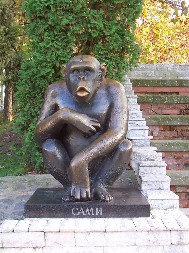 BIO JE NAJINTRIGANTNIJI STANOVNIK BEOGRADSKOG ZOO VRTA: I dalje se prepričava Samijevo spektakularno bekstvo dorćolskim krovovima