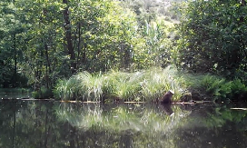 JEDNA OD NAJVEĆIH MISTERIJA VEZUJE SE ZA JEZERO U SRCU KOPAONIKA: Naučnici imaju svoje, meštani svoje pretpostavke (VIDEO)