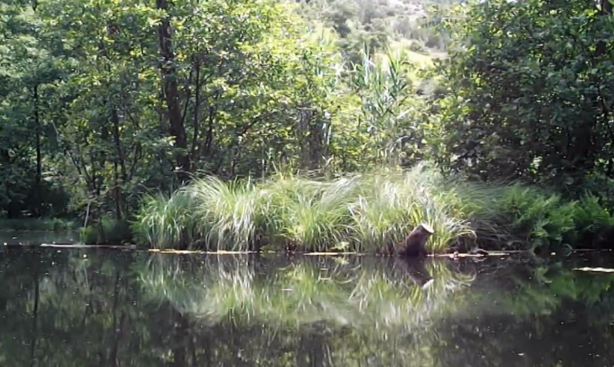 JEDNA OD NAJVEĆIH MISTERIJA VEZUJE SE ZA JEZERO U SRCU KOPAONIKA: Naučnici imaju svoje, meštani svoje pretpostavke (VIDEO)