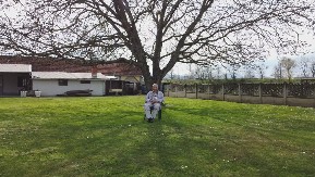 Jedini aktivni gaj oraha starih više od 300 godina u okolini Kosjerića