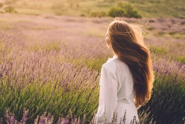 Plantaža lavande kod Svilajnca: Ljubičasti tepih i mirisi juga Francuske u srcu Šumadije