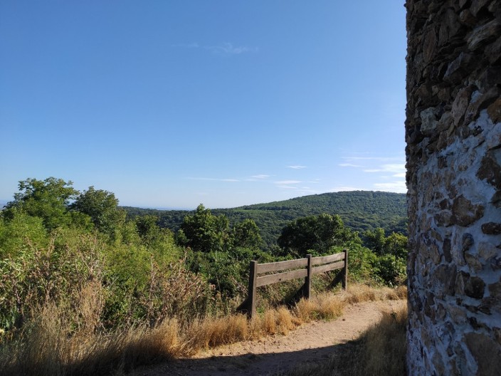 Vidikovac Crveni čot na Fruškoj gori: Pogled koji vodi do manastira Bešenovo