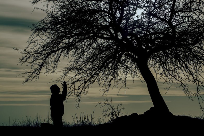 BORA MI, GLOGA MI Zašto se Srbi vekovima kunu baš u bor i glog i šta je prava priča iza te zakletve