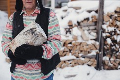 POSEČENO DRVO I KOKOŠ: Neobičan ritual kojim Srbi sprečavaju nesreću