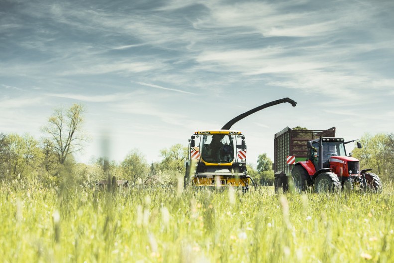 Zašto se utorkom ne kopa zemlja u istočnoj Srbiji? Zaboravljena zabrana koja skriva strah od smrti