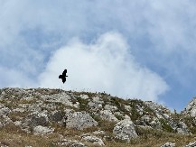Planine koje se ujutru pune maglom odozdo: Kad zemlja diše, a nebo ćuti