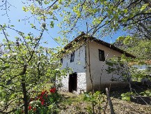 NISMO NI SVESNI KOLIKO SMO BOGATI: Ovo je izvor u srcu Šumadije kome se svi uvek vraćaju (FOTO)