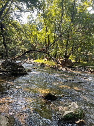 ZABORAVLJENI MANASTIR U KANJONU: Tajna srednjovekovne crkve koja se pojavljuje samo leti
