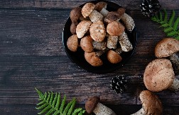 PEČURKA KOJA „GOVORI“: Tajanstvena simbolika vrganja u srpskim verovanjima