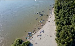 DA LI STE POSETILI "DUNAVSKE MALDIVE"? Rajska plaža, ležaljke žurke, Srbi ovo mesto zovu "MAJMUNSKO OSTRVO"! VIDEO