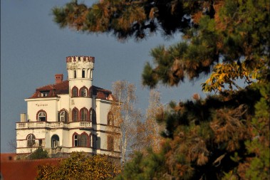 Ugostitelj Đoka je najlepšu vilu u Srbiji ostavio sluškinji: Zidovi čuvaju tužnu sudbinu, da vam se smuči život