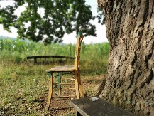 Šapat hrasta i krst u kori: Kako drvo postaje sveto u Srbiji?