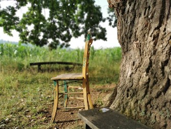 Šapat hrasta i krst u kori: Kako drvo postaje sveto u Srbiji?