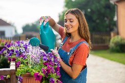 SVI GREŠE: Evo kako se pravilno zaliva cveće tokom vrelih dana