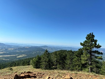 Planina sa dva lica: Divčibare između vazdušne banje i duhovne oaze