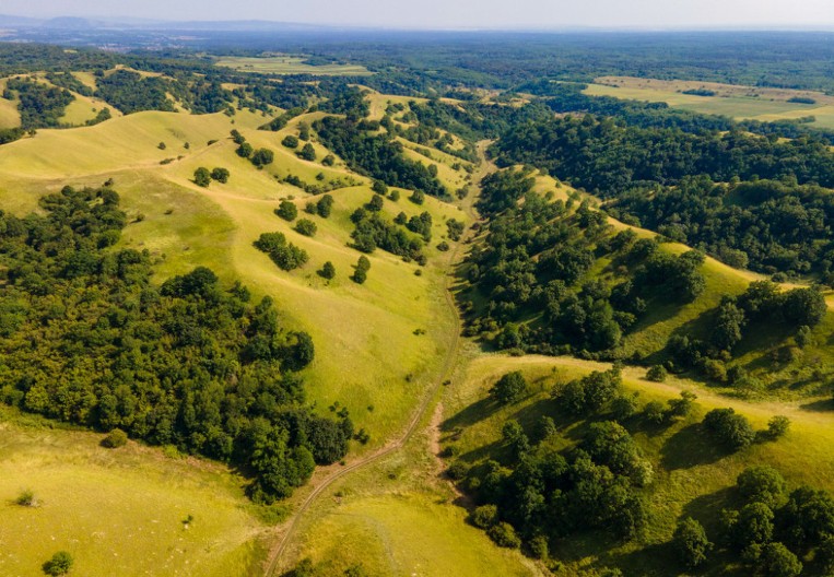 Vučari iz Vojvodine – drevni običaj teranja zime koji se održao samo u jednom selu