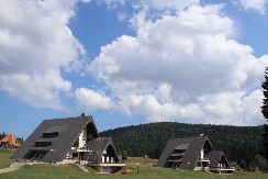 Ovo je omiljeno mesto i najdraža uspomena za hiljade srpskih mališana: Odmaralište Mitrovac na Tari ovog leta imalo odličnu sezonu, sada sledi i rekonstrukcija