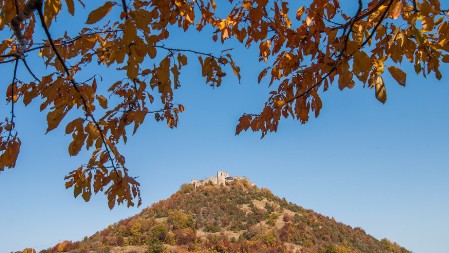 Zidine koje pamte kneginju Milicu i despota Stefana - Tvrđava građena uz pomoć koza