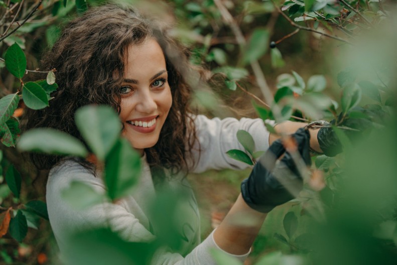 CRNA REKA ZDRAVLJA: Zašto je sok od aronije sa Golije najlekovitiji i kako se koristi protiv virusa i pritiska