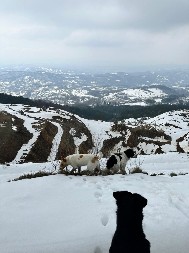 KAMENI DŽIN U ŠUMADIЈI: Legenda o planini Rudnik – zašto se čuje tutnjava iz zemlje i tajna skrivenog blaga