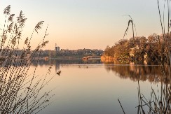 Misteriozno jezero Kraljevac kod Deliblata: Plutajuća ostrva i retke ptice na skrivenom biseru južnog Banata