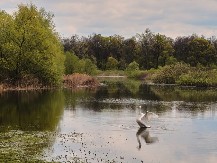 Savska laguna kod Kupinova: Stari čamci, tišina i reka bez žurbe