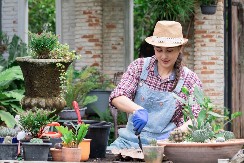 JEDNA KAP JODA MOŽE DA SPASE BAŠTU: Od trulenja, gljivičnih infekcija i pepelnice! Evo kako!
