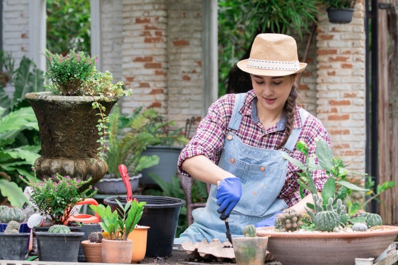 JEDNA KAP JODA MOŽE DA SPASE BAŠTU: Od trulenja, gljivičnih infekcija i pepelnice! Evo kako!
