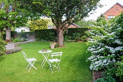 Veruje se da ova biljka donosi nesreću: Nikada je ne sadite, a ako je dobijete na poklon – odmah je bacite iz kuće!