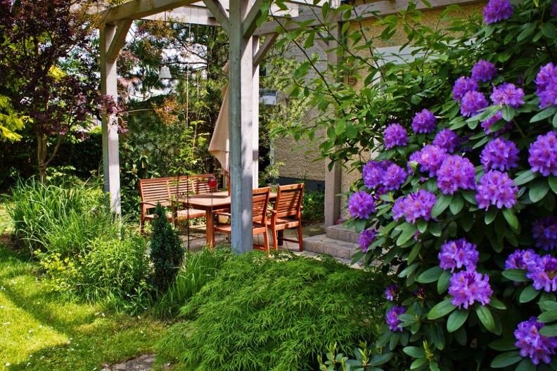 6 vrsta cveća koje možete da posadite sada, trajaće do zime: Biljke koje traju godinama, a ne zahtevaju posebno održavanje