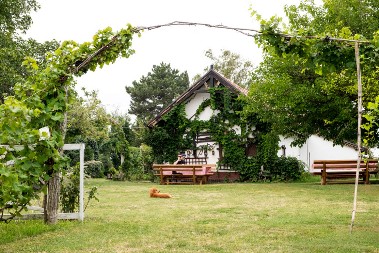 “Pojilo” – običaj iz Vojvodine koji povezuje komšije i jača zajedništvo