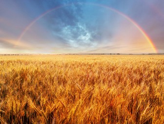 Duga u srpskim predanjima – Radost na nebu ili božja opomena?