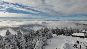 Ima posla ko hoće da radi - na Zlatiboru najveća potražnja za kuvarima, konobarima i pomoćnim osobljem: Sezona na srpskoj planini sada traje skoro 12 meseci u godini